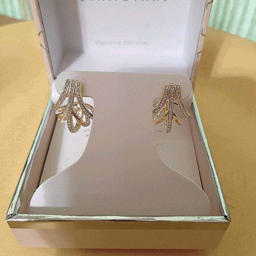 Dressy Hoop Earrings